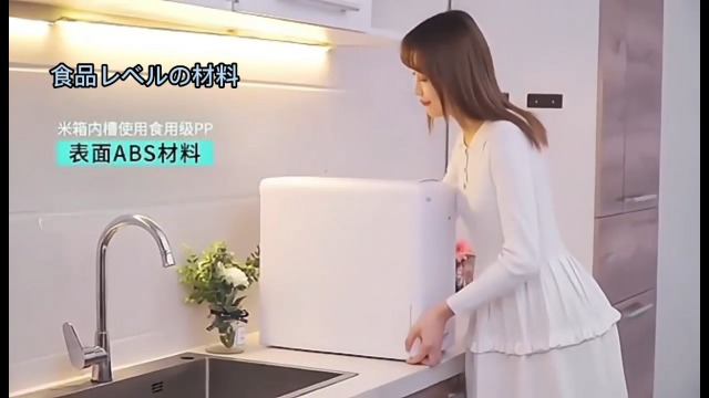 Amazon.co.jp: 保冷米びつ 大容量 ライスストッカー 米びつ21KG 冷蔵庫